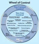 Online counselling and the wheel of control